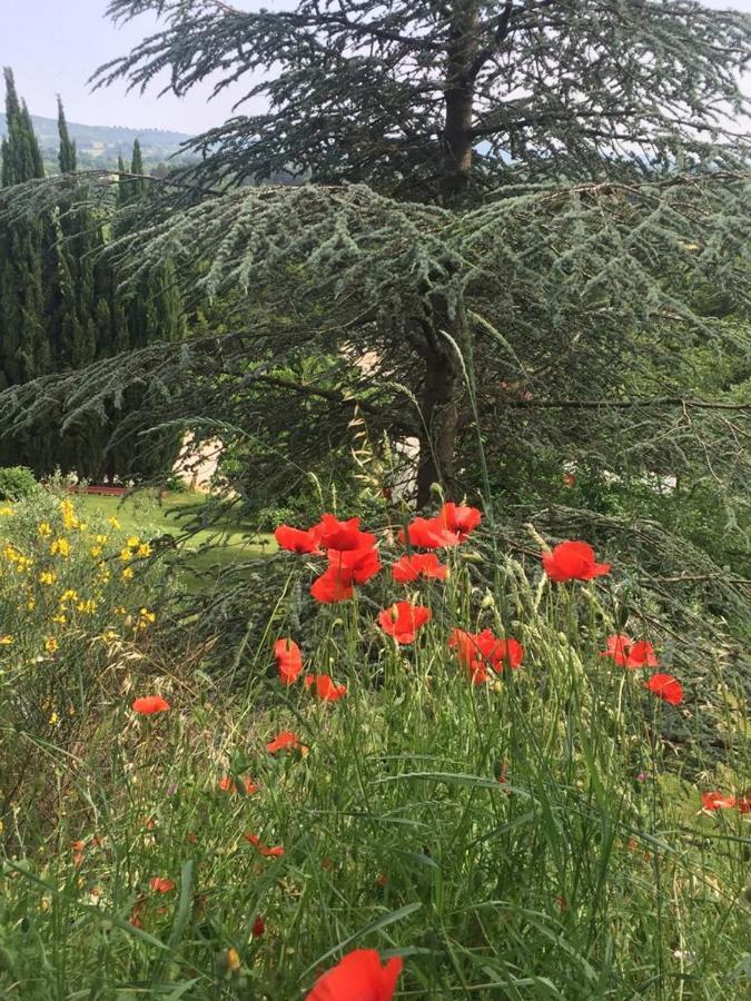 Casale Sant'Elia Bed & Breakfast Capranica Екстериор снимка
