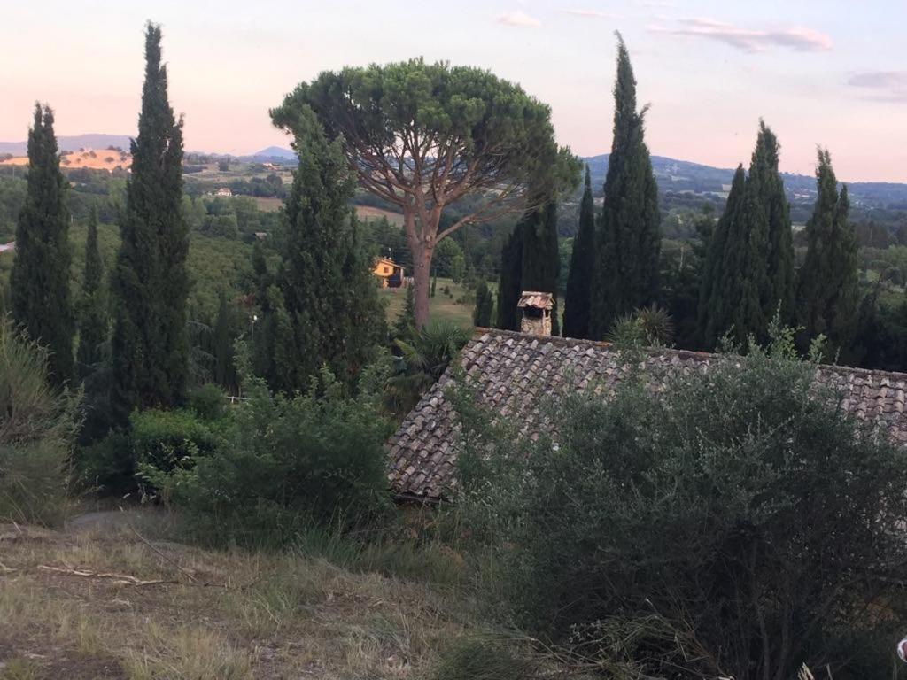 Casale Sant'Elia Bed & Breakfast Capranica Екстериор снимка